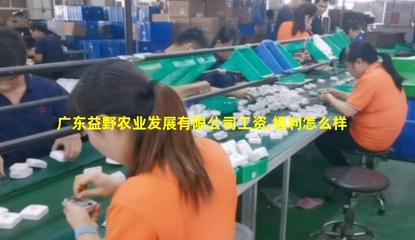 廣東益野農(nóng)業(yè) 領(lǐng)航畜牧漁業(yè)飼料銷售，助推現(xiàn)代農(nóng)牧業(yè)發(fā)展